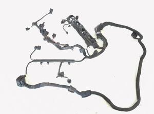 Wiring Harness VW GOLF VI (5K1), VW GOLF VI Van (5K1_), VW TOURAN (1T1, 1T2), VW TOURAN (1T3)