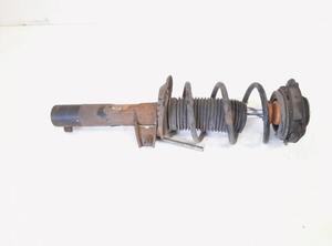 Suspension Strut VW GOLF V Variant (1K5), VW GOLF VI Variant (AJ5)