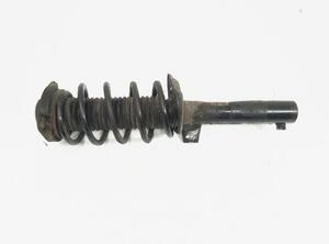 Shock Absorber AUDI A3 (8P1), AUDI A3 Sportback (8PA)