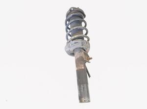 Shock Absorber VW PASSAT Variant (3C5), VW PASSAT B7 Estate Van (365)