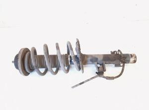 Shock Absorber VW TRANSPORTER V Van (7HA, 7HH, 7EA, 7EH), VW TRANSPORTER VI Van (SGA, SGH, SHA, SHH)