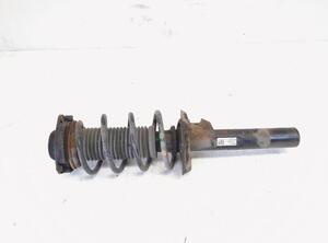 Shock Absorber VW GOLF VI (5K1), VW GOLF VI Van (5K1_), VW GOLF VAN VI Variant (AJ5)