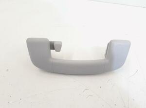 Grab Handle VW Golf VII (5G1, BE1, BE2, BQ1)