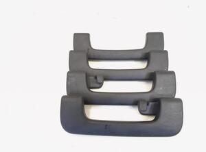 Grab Handle AUDI A6 Avant (4F5, C6)