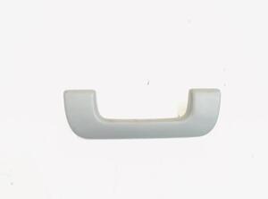 Grab Handle AUDI A3 Limousine (8VM, 8VS)