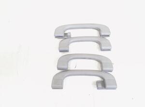 Grab Handle BMW X1 (E84)