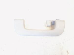 Grab Handle AUDI A4 Allroad (8KH, B8), AUDI A4 Avant (8K5, B8), AUDI Q5 (8RB), AUDI A5 Sportback (8TA)