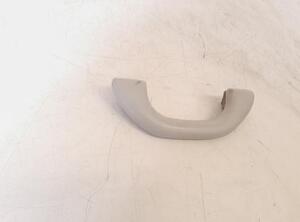 Grab Handle SEAT IBIZA IV (6J5, 6P1), SEAT IBIZA IV SC (6J1, 6P5), SEAT IBIZA IV ST (6J8, 6P8)