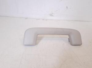 Grab Handle LYNK &amp; CO 1