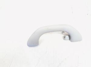 Grab Handle VW TIGUAN (5N_), VW TIGUAN VAN (5N_), VW GOLF V (1K1), VW GOLF VI (5K1)