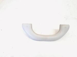 Grab Handle VW GOLF V (1K1), VW GOLF VI (5K1), VW GOLF VAN VI Variant (AJ5), VW GOLF VI Van (5K1_)