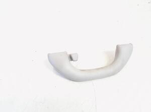 Grab Handle VW GOLF VI (5K1), VW PASSAT B7 Variant (365), VW GOLF V (1K1), VW TIGUAN (5N_)