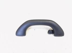 Grab Handle VW GOLF V (1K1), VW GOLF VI (5K1), VW GOLF VAN VI Variant (AJ5), VW GOLF VI Van (5K1_)