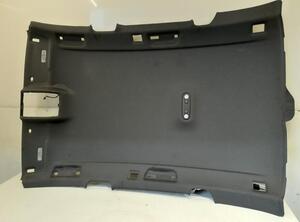 Front Interior Roof Trim Panel AUDI A4 Allroad (8KH, B8), AUDI A4 Avant (8K5, B8), AUDI A5 Sportback (8TA)