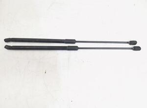 Gas Spring AUDI A3 Sportback (8VA, 8VF), AUDI A6 Allroad (4GH, 4GJ)