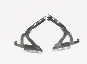 Bonnet Hinge VW GOLF V (1K1), VW GOLF VI (5K1), VW GOLF VAN VI Variant (AJ5), VW GOLF VI Van (5K1_)