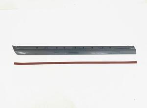 Trim Strip Bumper VW Passat (362)