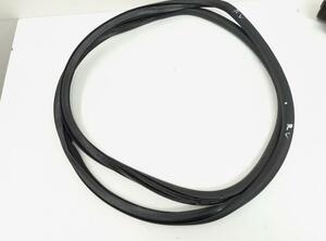 Door Seal VW Golf V (1K1), VW Golf VI (5K1)