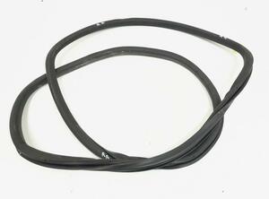 Door Seal VW Golf Plus (521, 5M1)