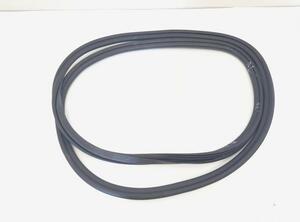 Door Seal AUDI A4 (8K2, B8), AUDI A4 (8W2, 8WC)