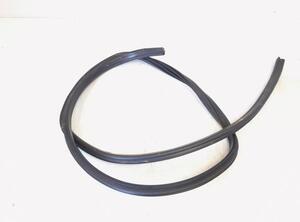 Door Seal BMW X1 (E84)