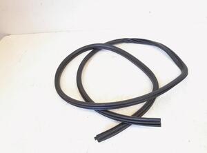 Door Seal BMW X1 (E84)