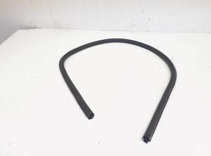 Door Seal AUDI A5 (8T3)