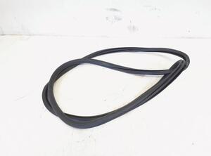 Door Seal VW GOLF VI (5K1), VW GOLF V (1K1), VW GOLF VAN VI Variant (AJ5), VW GOLF VI Van (5K1_)