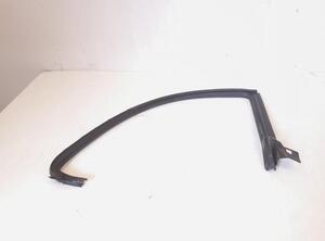 Door Seal VW PASSAT CC (357), VW CC (358)