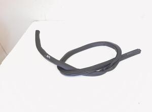 Door Seal VW CC (358), VW PASSAT CC (357)