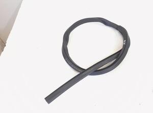 Door Seal VW CC (358), VW PASSAT CC (357)