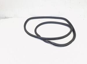 Door Seal VW PASSAT B7 Variant (365), VW PASSAT ALLTRACK B7 (365)