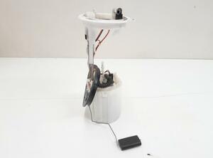 Fuel Pump AUDI Q3 (8UB, 8UG), VW Tiguan (5N)