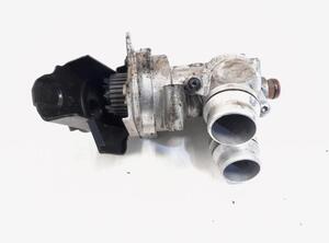 P19746499 Wasserpumpe AUDI A4 Avant (8K, B8) 06H121026DS