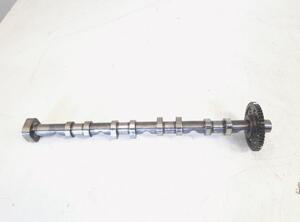 Camshaft AUDI TT (8J3)