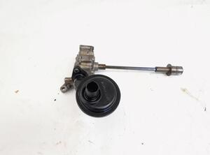 Oil Pump AUDI A4 Allroad (8KH, B8), AUDI A4 Avant (8K5, B8)