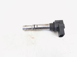 Ignition Coil VW GOLF V (1K1), VW GOLF VI (5K1), VW TIGUAN (5N_), VW TIGUAN VAN (5N_)