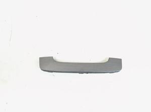 Closing plate VW PASSAT B7 Variant (365), VW PASSAT (362)