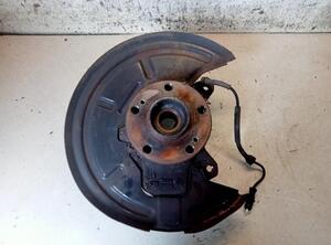 Stub Axle RENAULT VEL SATIS (BJ0_)