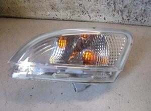 Direction Indicator Lamp RENAULT TWINGO II (CN0_)