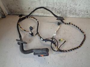 Wiring Harness VW POLO (6R1, 6C1), VW POLO Van (6R)