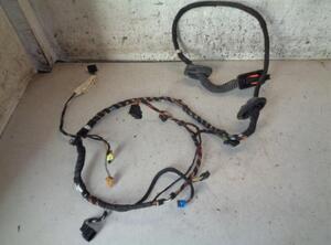 Wiring Harness VW POLO (6R1, 6C1), VW POLO Van (6R)