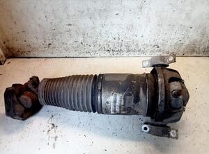 Suspension Strut AUDI Q7 (4LB), PORSCHE CAYENNE (9PA), VW TOUAREG (7LA, 7L6, 7L7), AUDI Q7 Van (4LB)