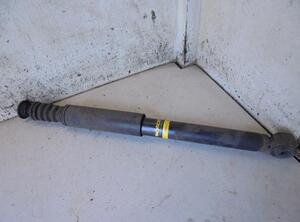 Shock Absorber RENAULT CLIO III (BR0/1, CR0/1)