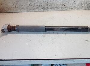 Shock Absorber FORD C-MAX (DM2), FORD FOCUS C-MAX (DM2)