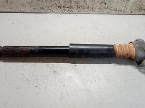 Shock Absorber VW JETTA III (1K2)