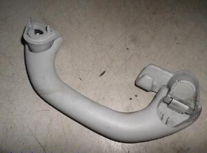 Grab Handle VW POLO (9N_)