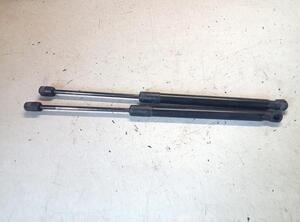 Gas Spring RENAULT MEGANE III Hatchback (BZ0/1_, B3_)