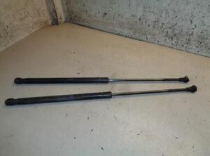 Gas Spring SEAT IBIZA III (6L1)