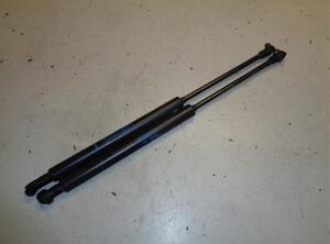 Gas Spring RENAULT TWINGO II (CN0_)